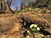 36 Proseguo sul  571-Sentiero partigiano